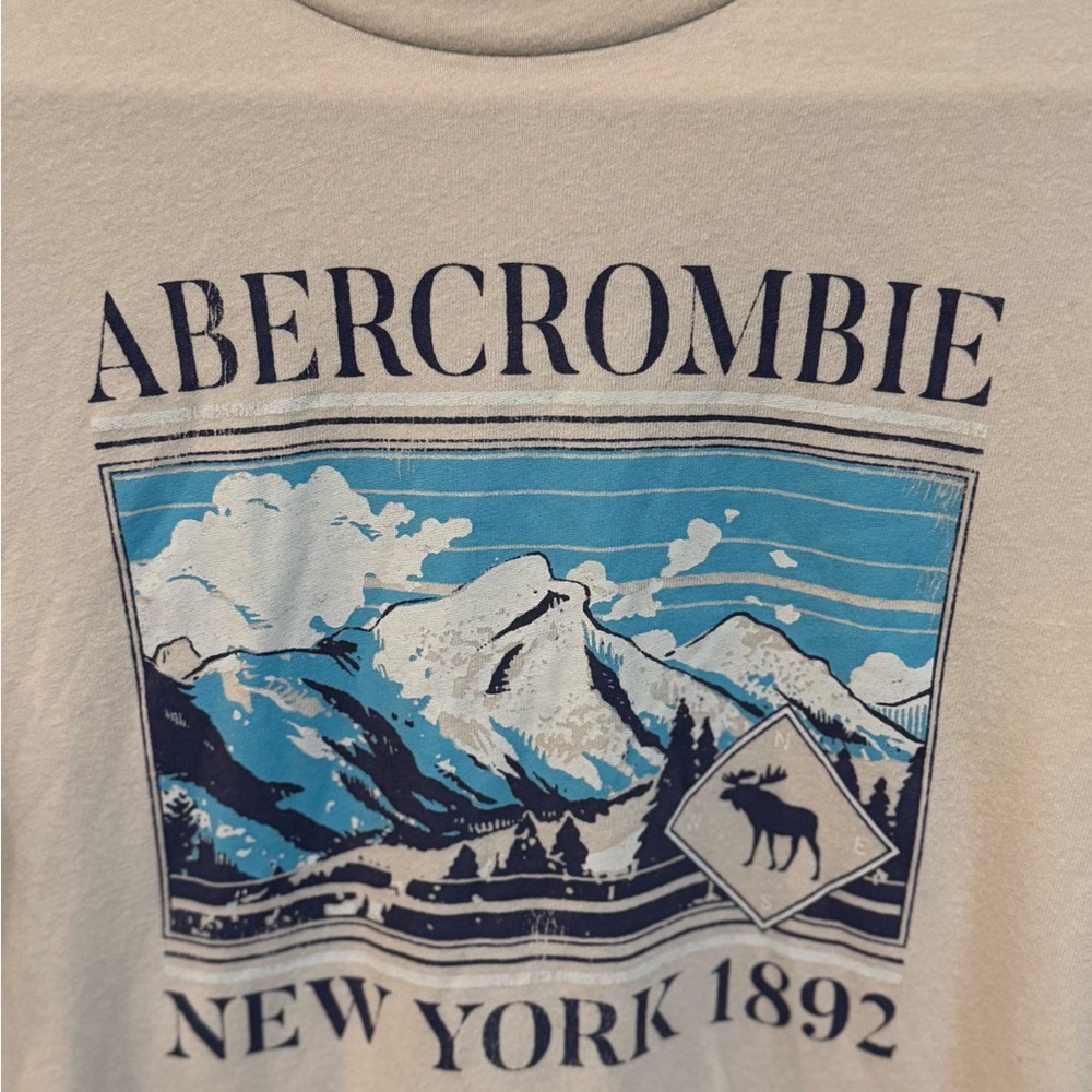 ABERCROMBIE KIDS BRAND, Beige Graphic Long Sleeve Shirt, Boy’s Sz 15/16 Clothing - Picture 2 of 9